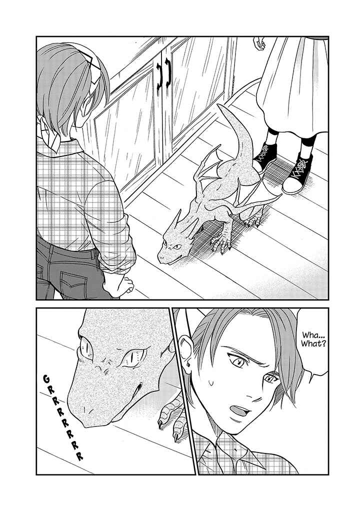 Page 12 Chapter 11 Daidokoro no Dragon