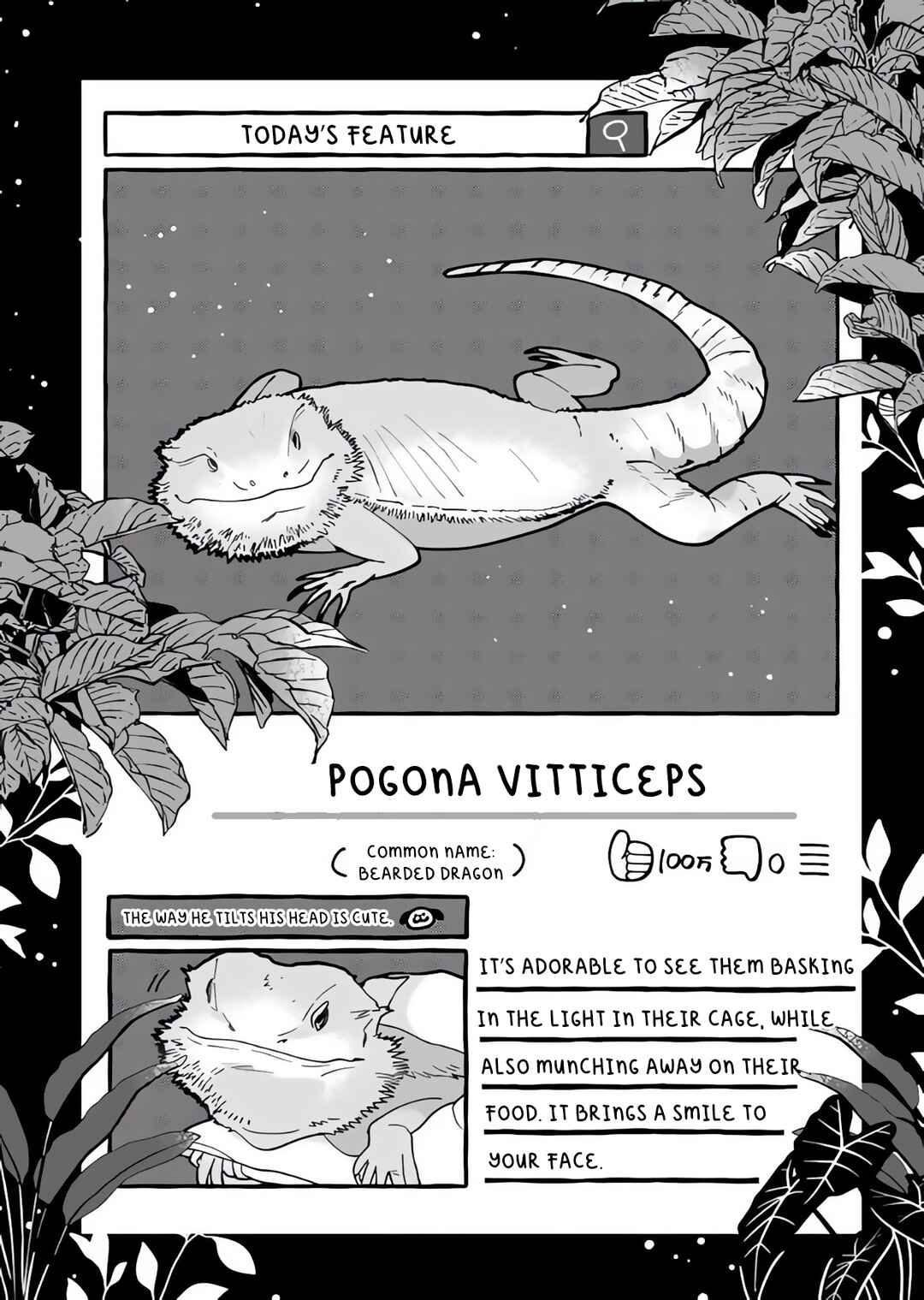 Page 23 Chapter 5 Tonari no Hachuurui-kun
