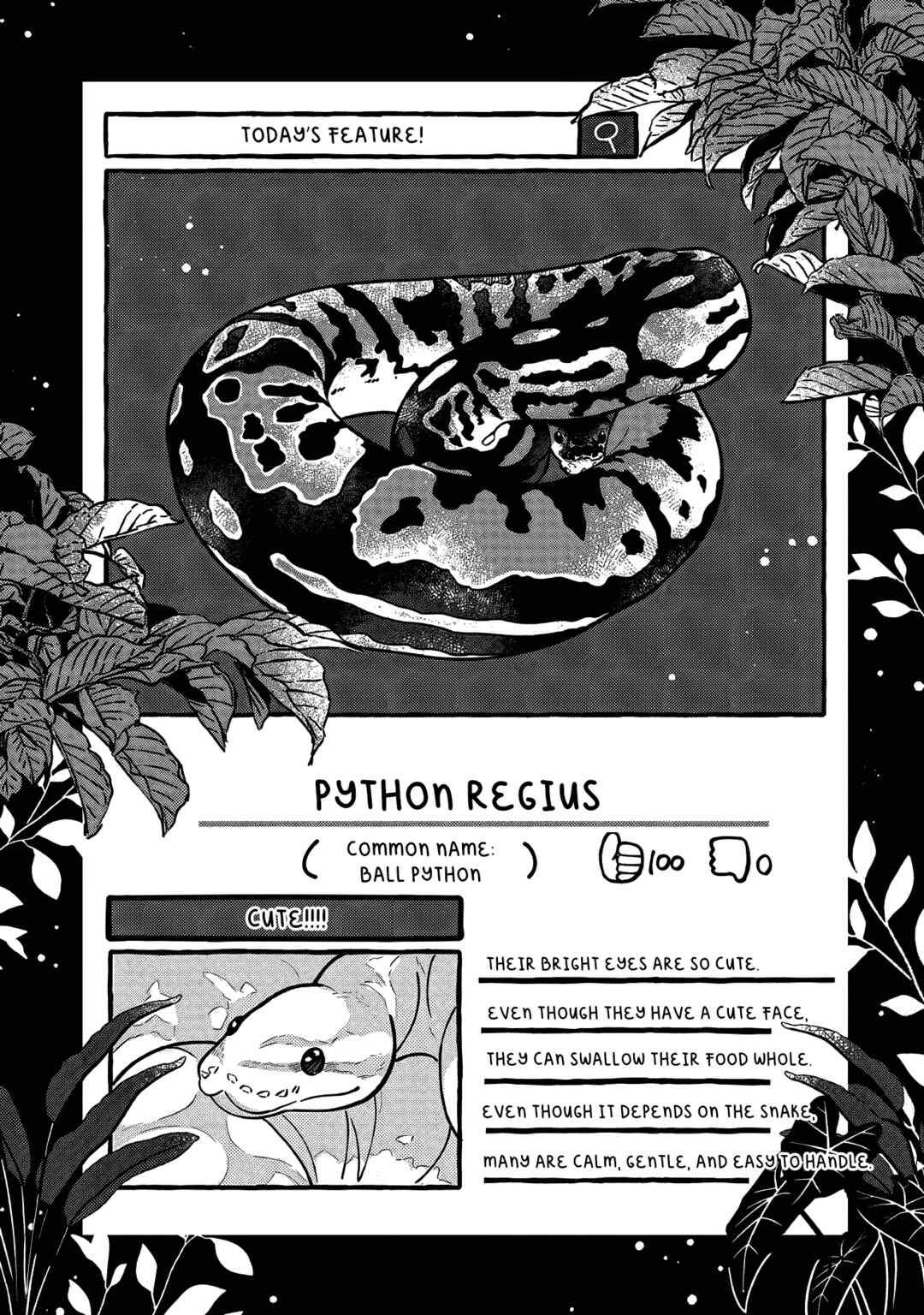 Page 26 Chapter 4 Tonari no Hachuurui-kun