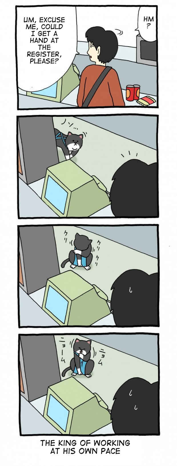 Page 1 Chapter 37 Register Cat