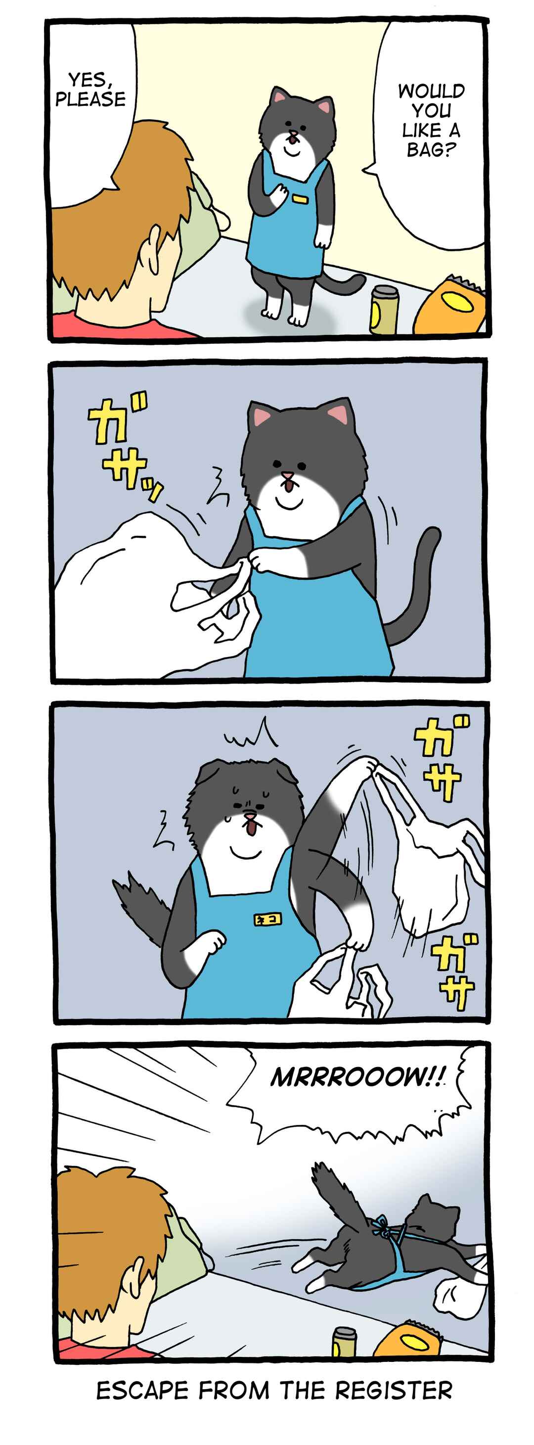 Page 1 Chapter 5 Register Cat