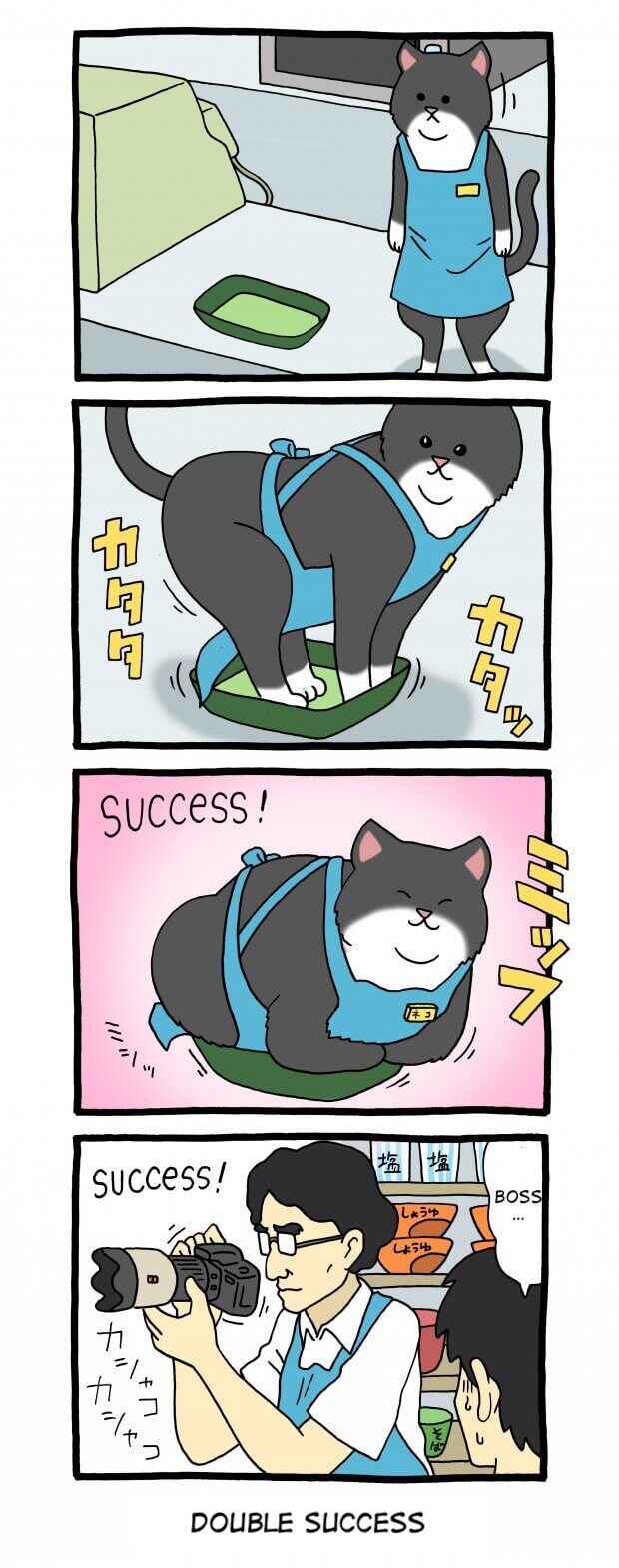 Page 1 Chapter 53 Register Cat