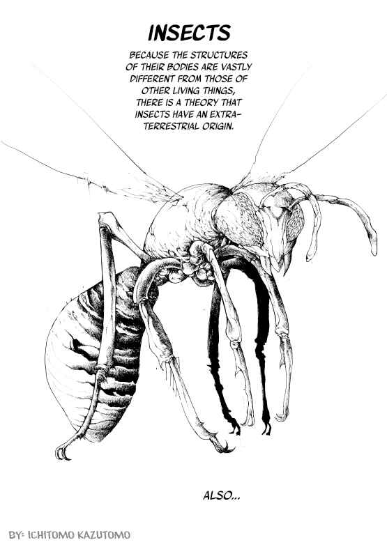 Page 1 Chapter Unknown_a900 Looking Into the Theory of Insects Coming From Outer Space