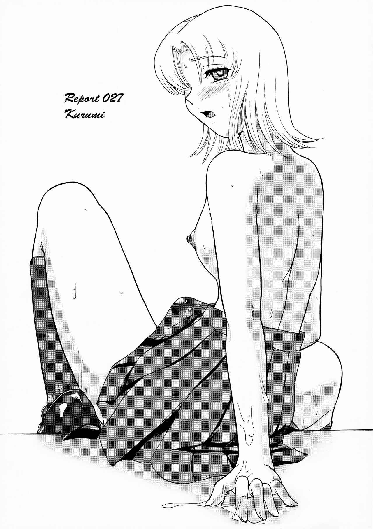 Page 4 Chapter 27 Dulce Report
