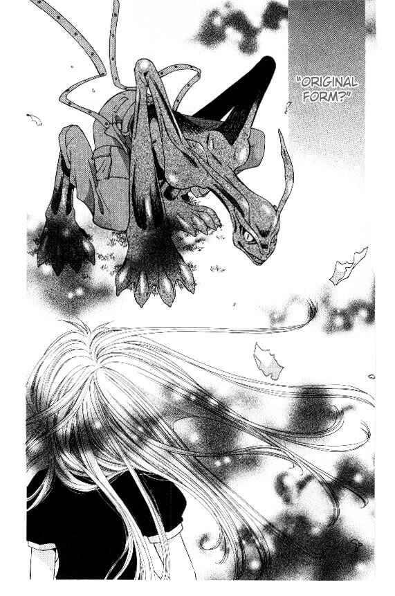 Page 5 Chapter 33 Fruits Basket