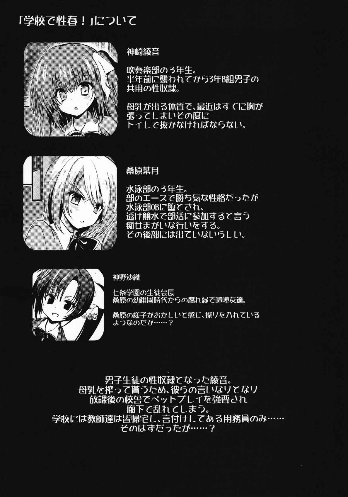 Page 4 Chapter 11 Gakkou de Seishun!