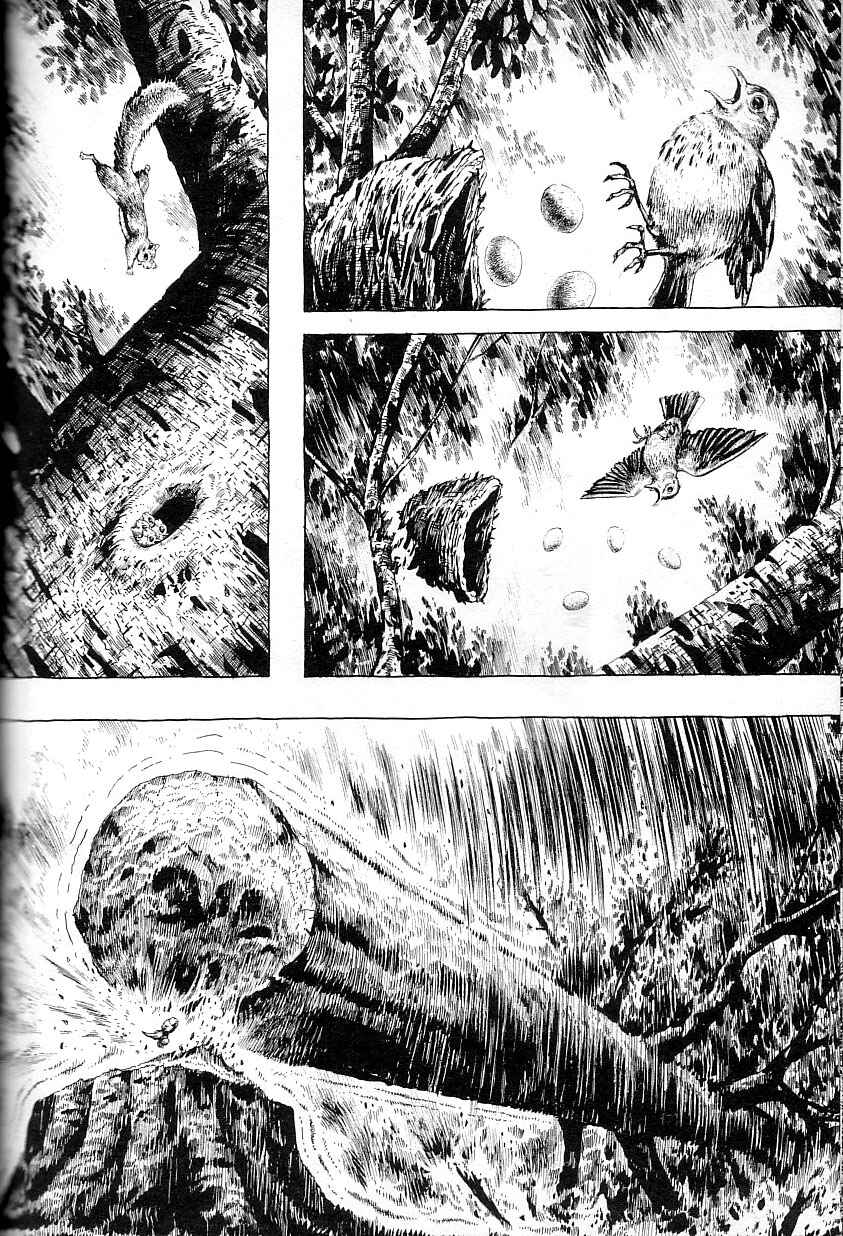 Page 10 Chapter 3 Gon