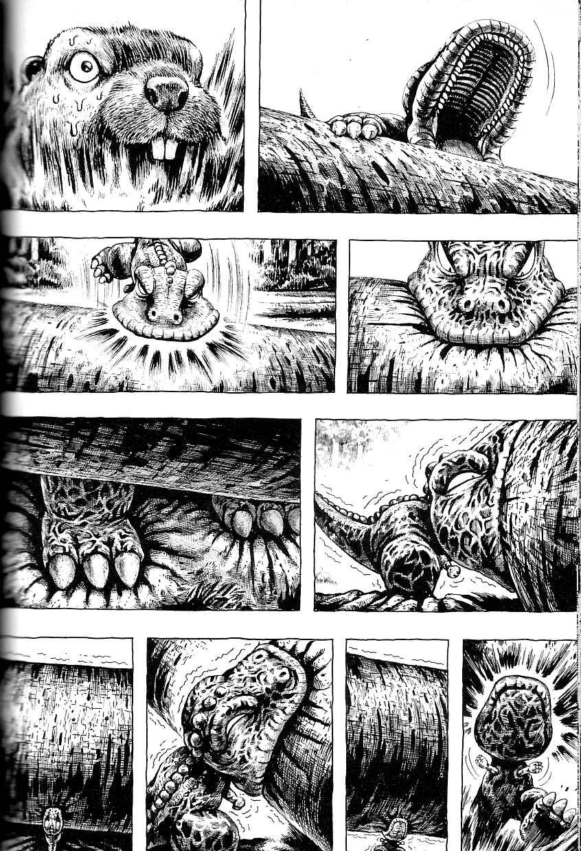 Page 12 Chapter 3 Gon