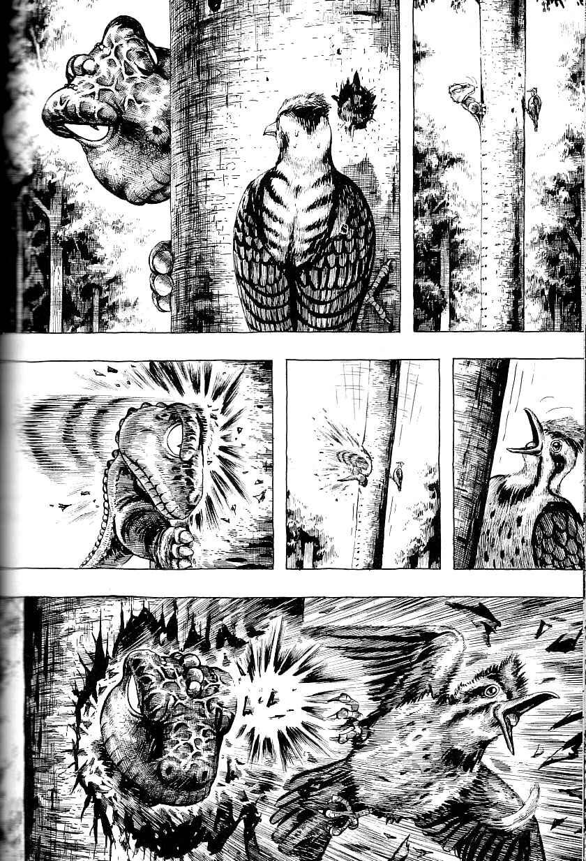 Page 14 Chapter 3 Gon
