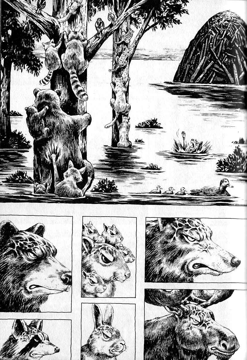 Page 30 Chapter 3 Gon