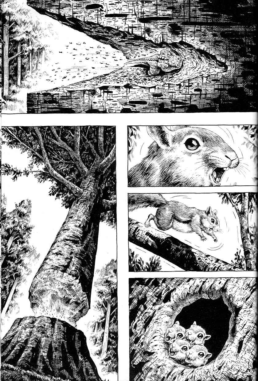 Page 9 Chapter 3 Gon