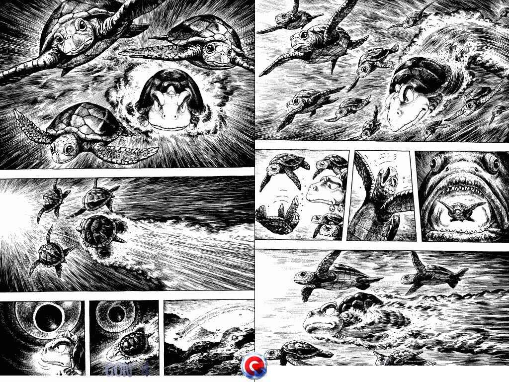 Page 32 Chapter 13 Gon
