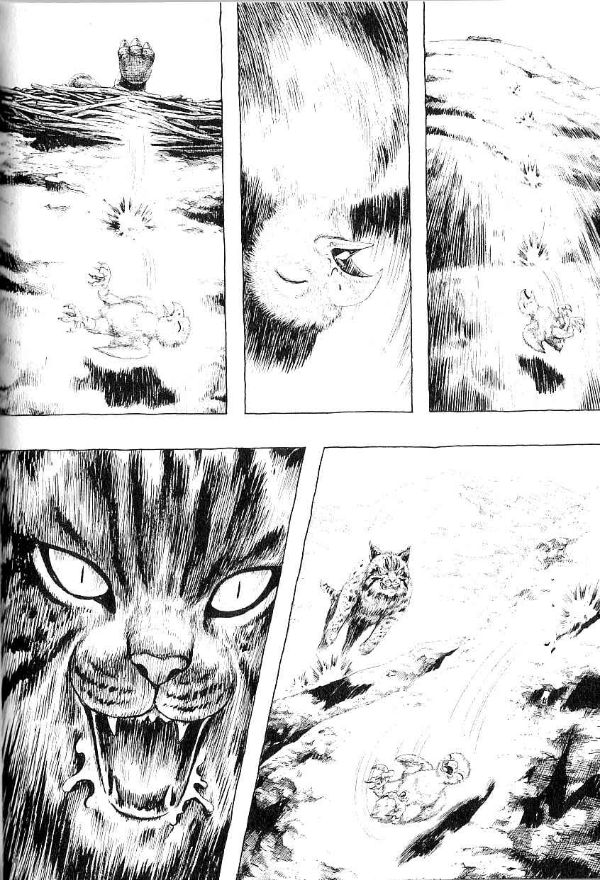 Page 11 Chapter 4 Gon
