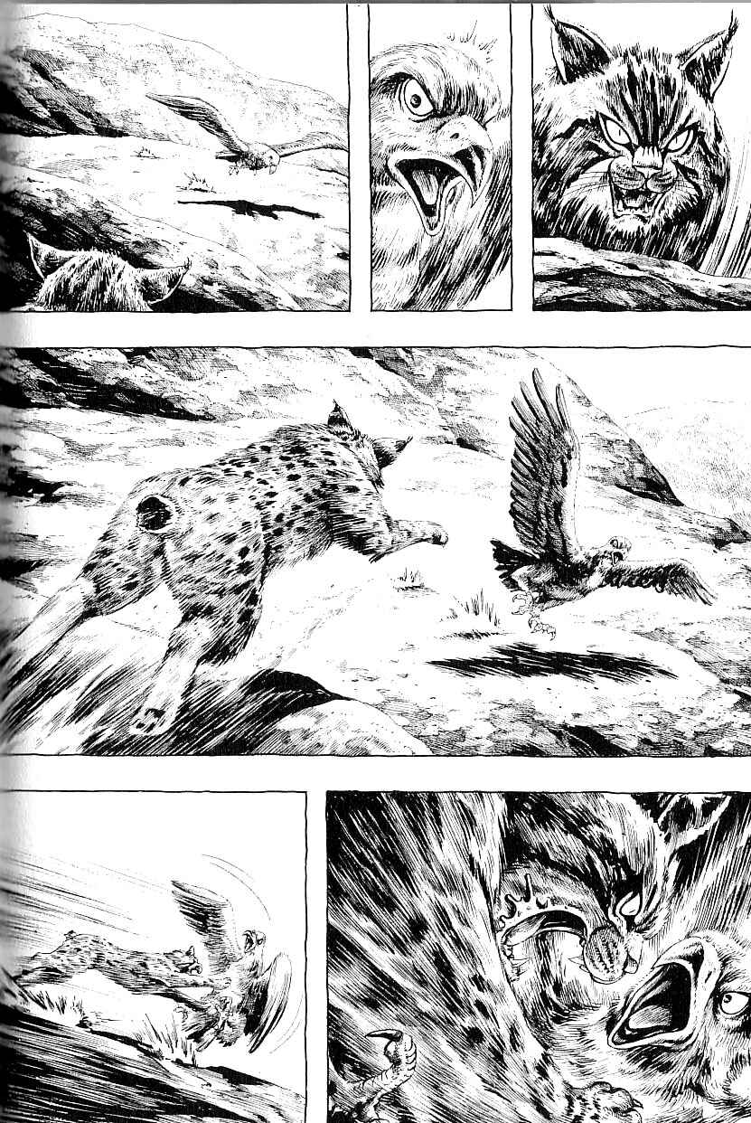 Page 19 Chapter 4 Gon