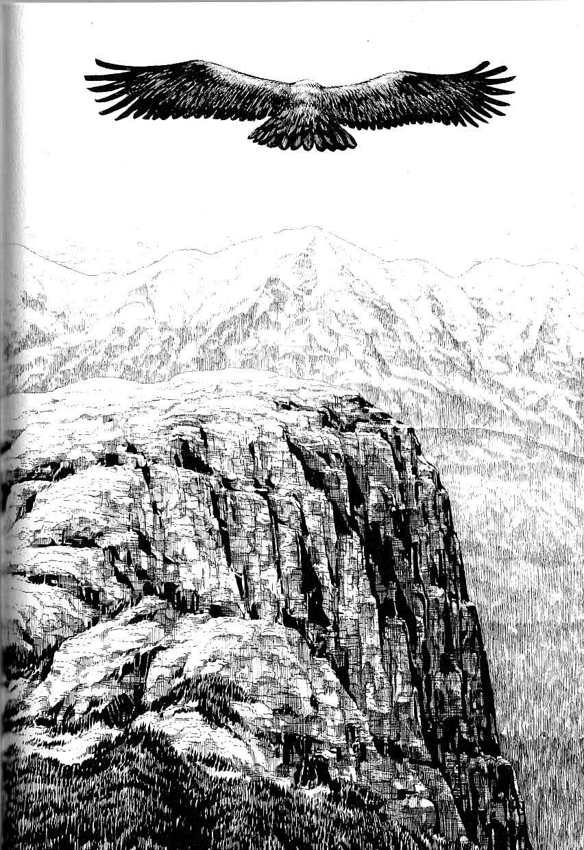 Page 2 Chapter 4 Gon