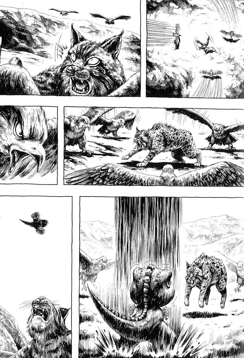Page 20 Chapter 4 Gon