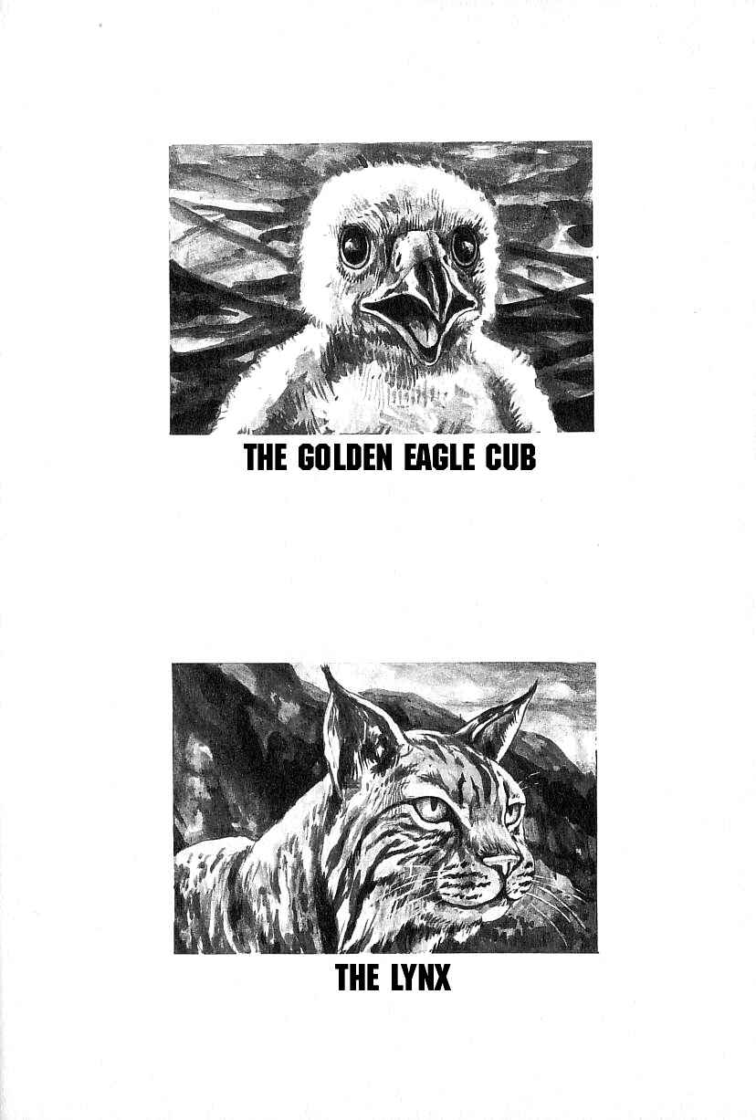 Page 31 Chapter 4 Gon