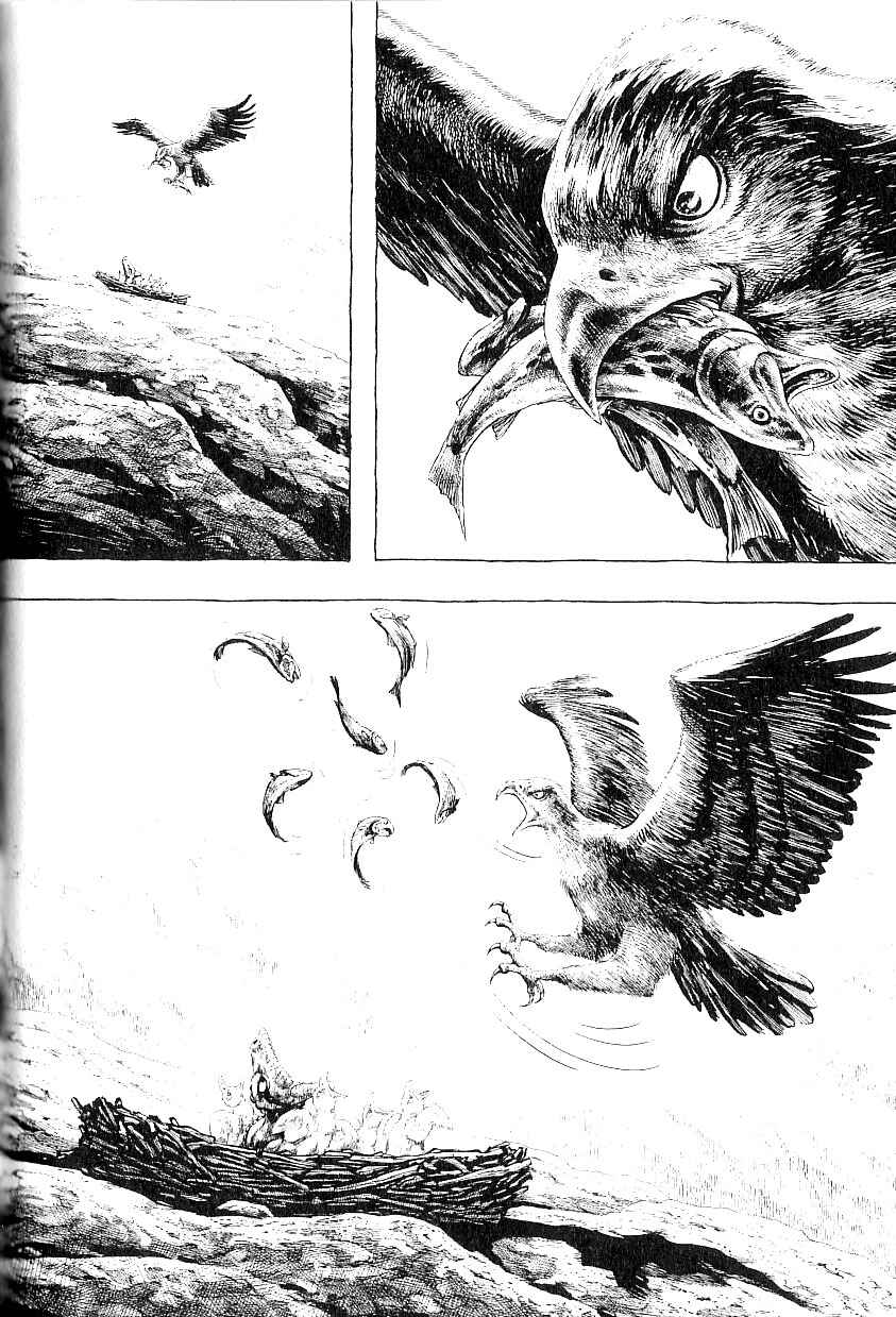 Page 5 Chapter 4 Gon