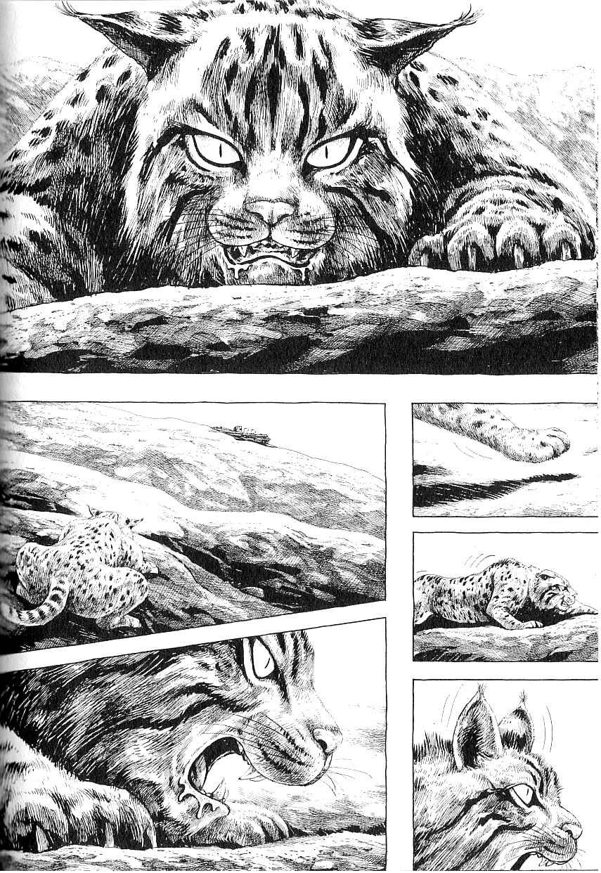 Page 7 Chapter 4 Gon