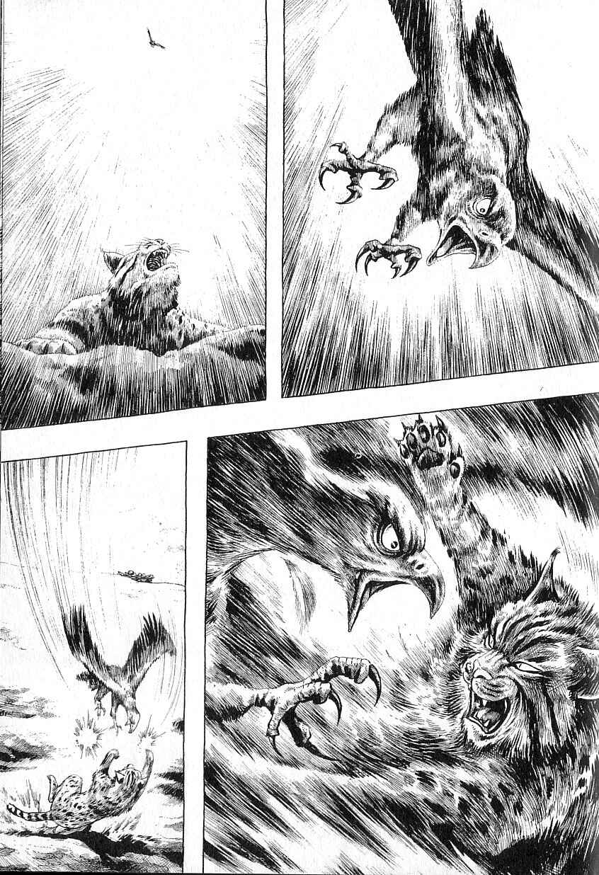 Page 8 Chapter 4 Gon