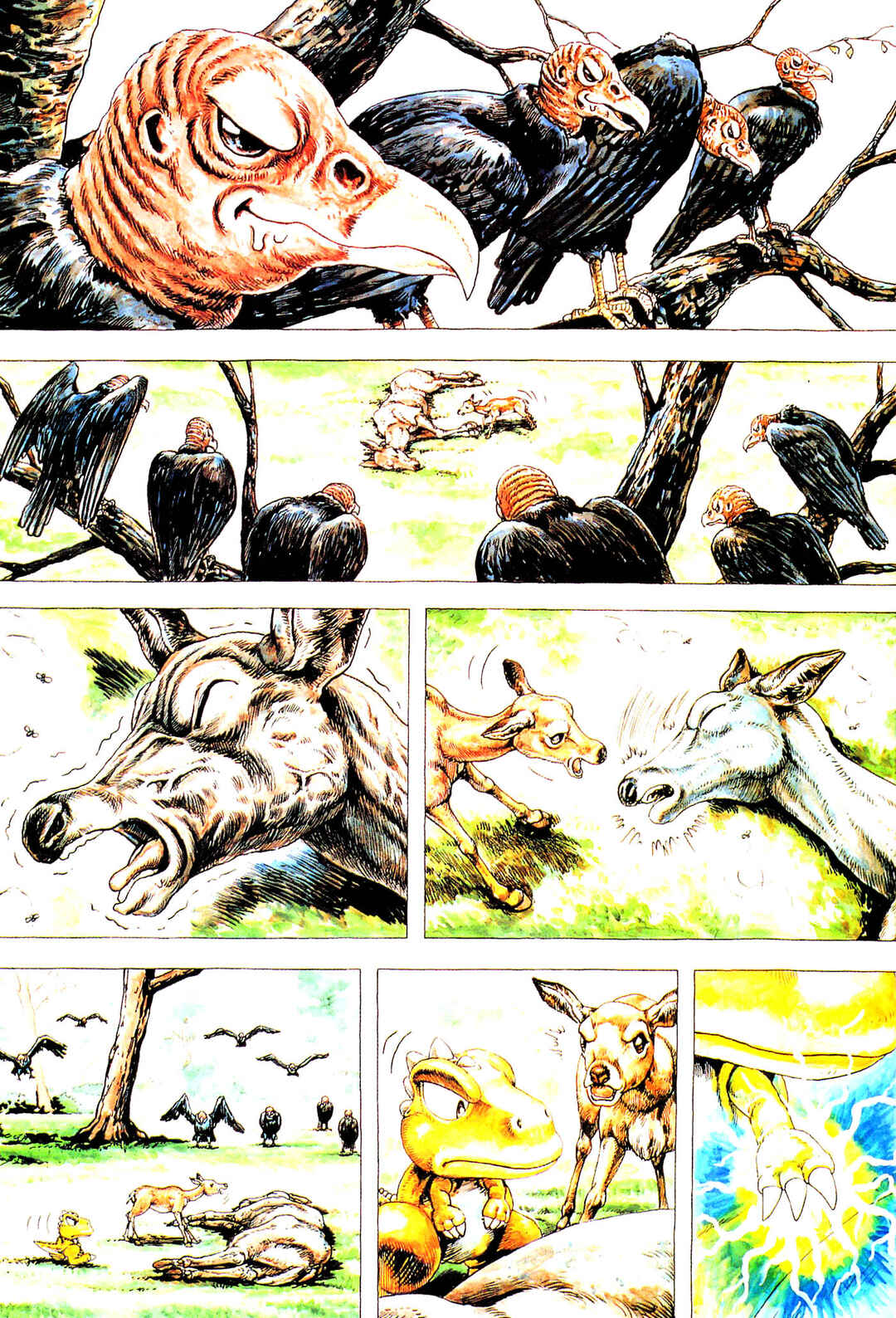 Page 6 Chapter 4 Gon