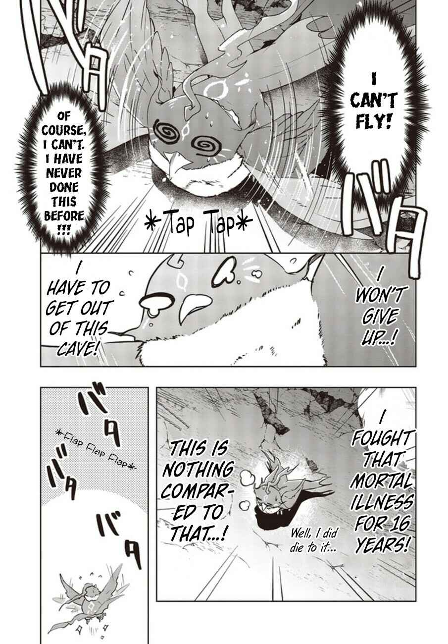 Page 12 Chapter 2 Reborn as a Phoenix: A Normal Bird Cant Beat a Dragon, Right?