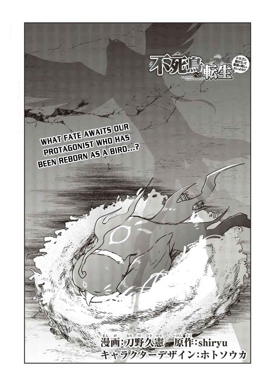 Page 2 Chapter 2 Reborn as a Phoenix: A Normal Bird Cant Beat a Dragon, Right?