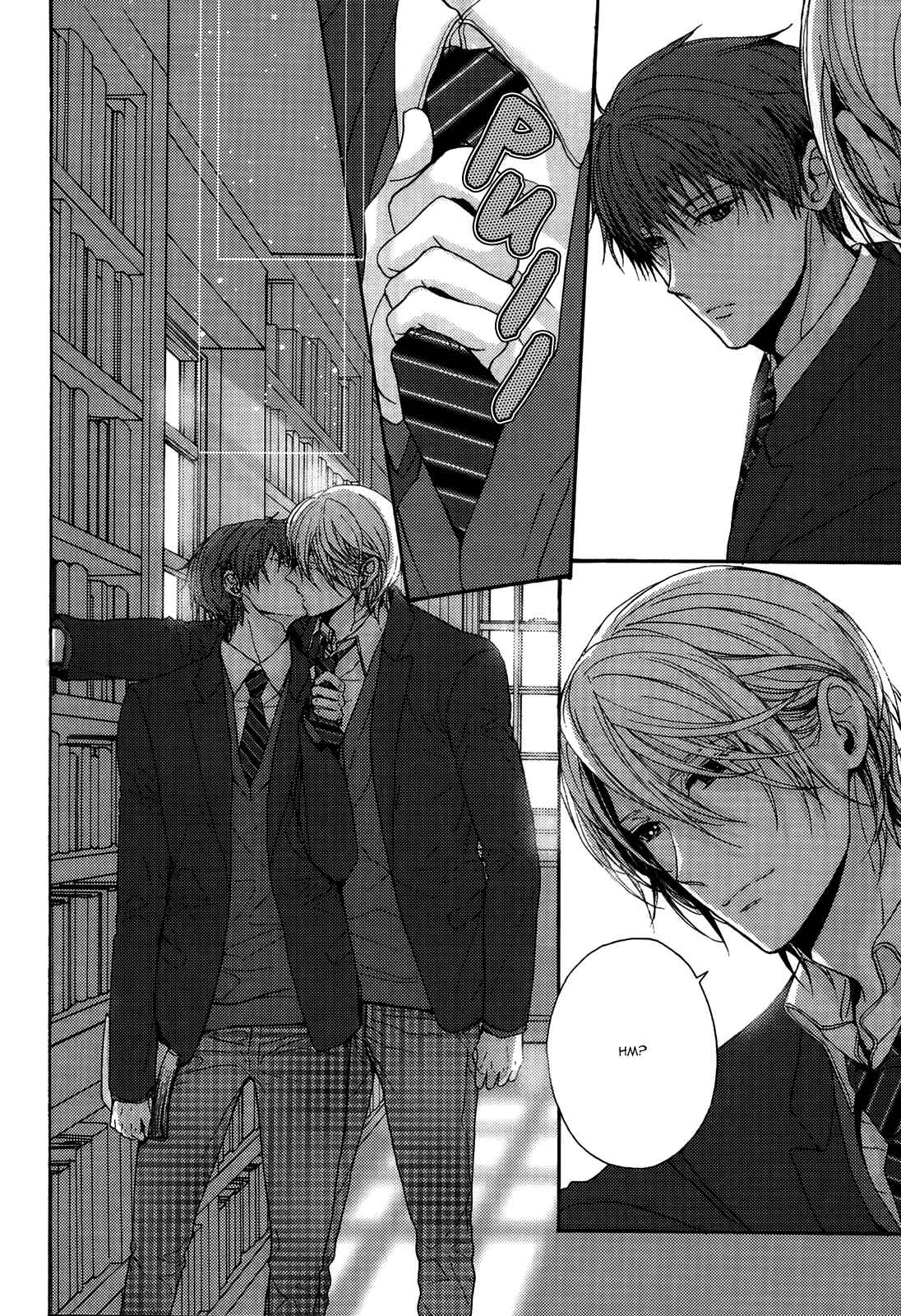 Page 29 Chapter 2 Kyoudai no Rule.