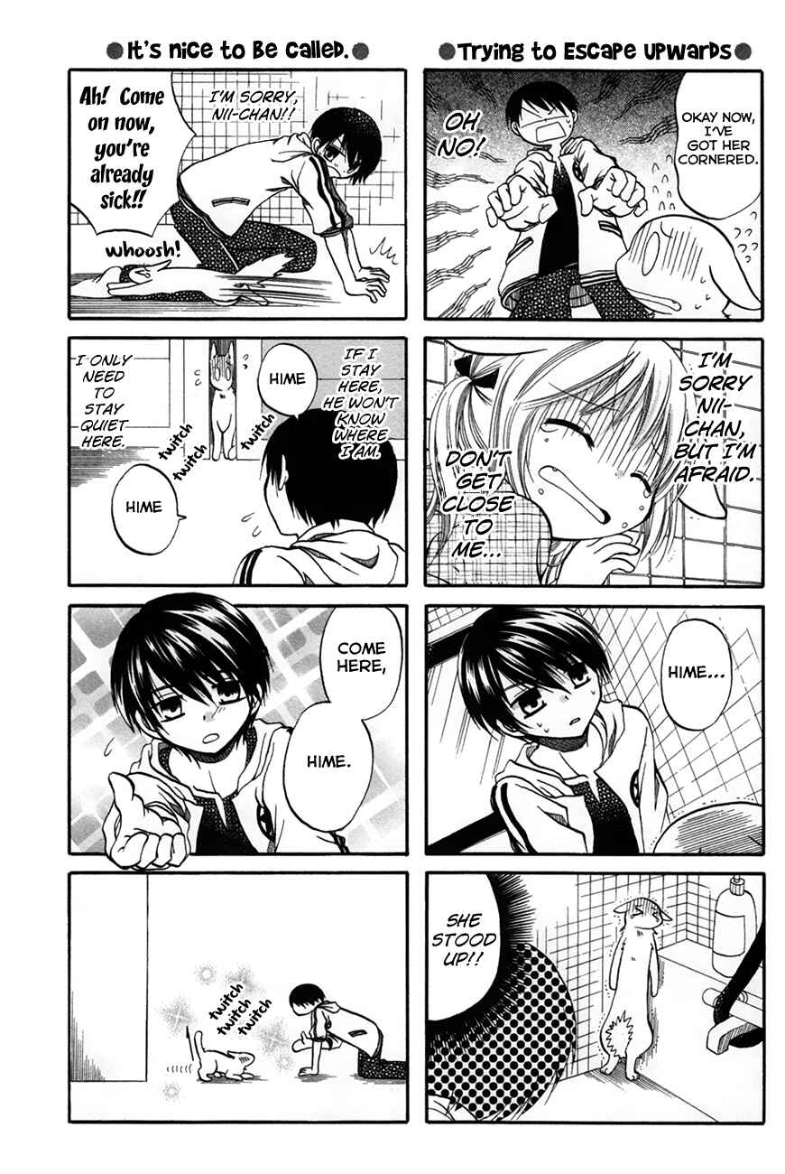 Page 3 Chapter 39 Chokotto Hime