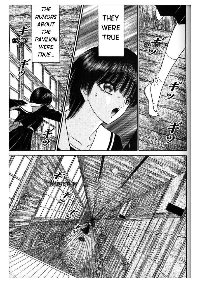 Page 13 Chapter 4 False Appearances