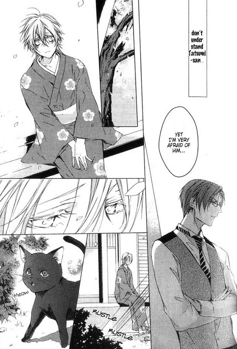 Page 31 Chapter 2 Hanamachi Monogatari - Hatsuzakura Mau, Yoru no Shitone