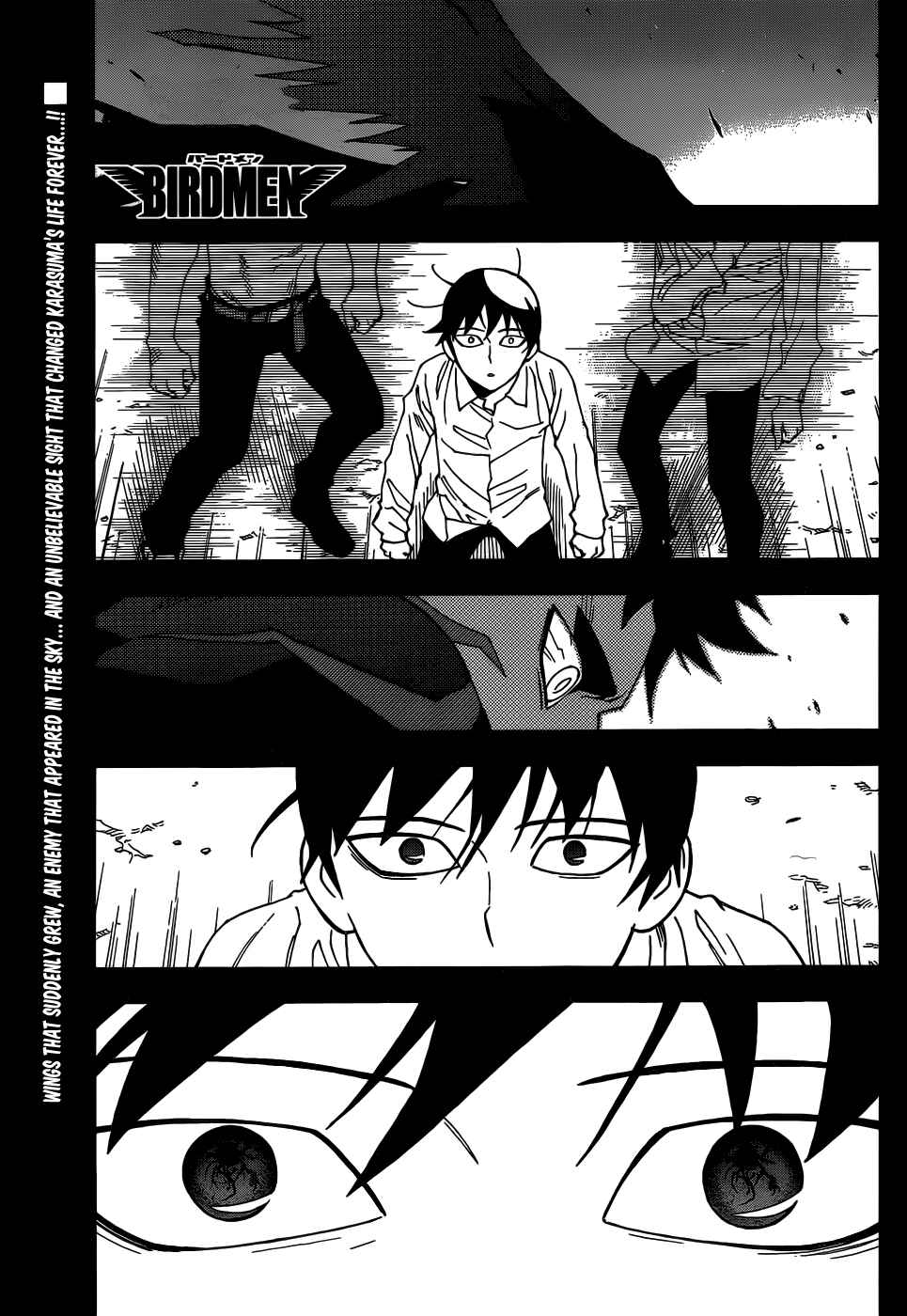 Page 4 Chapter 4 Birdmen
