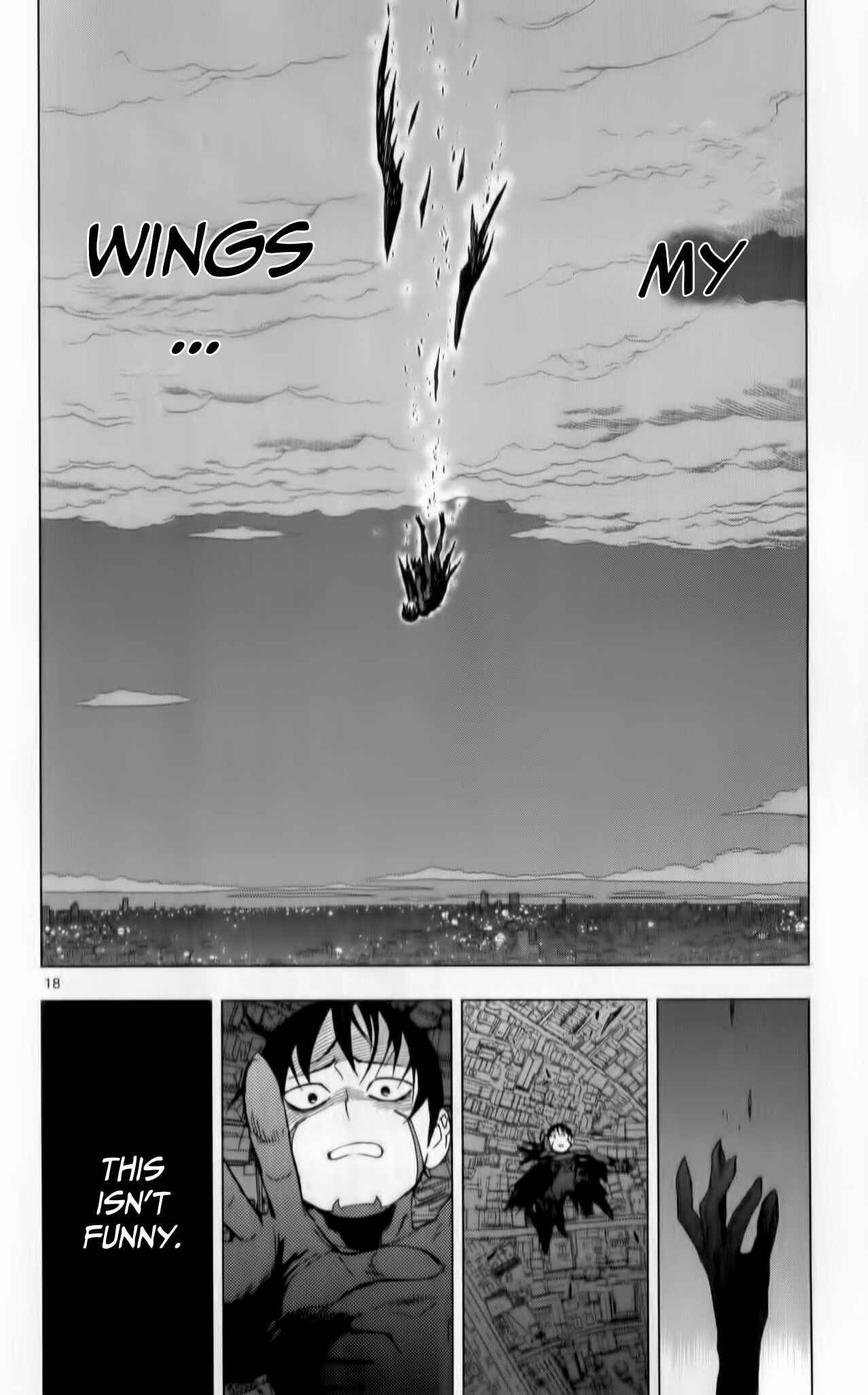 Page 19 Chapter 8 Birdmen