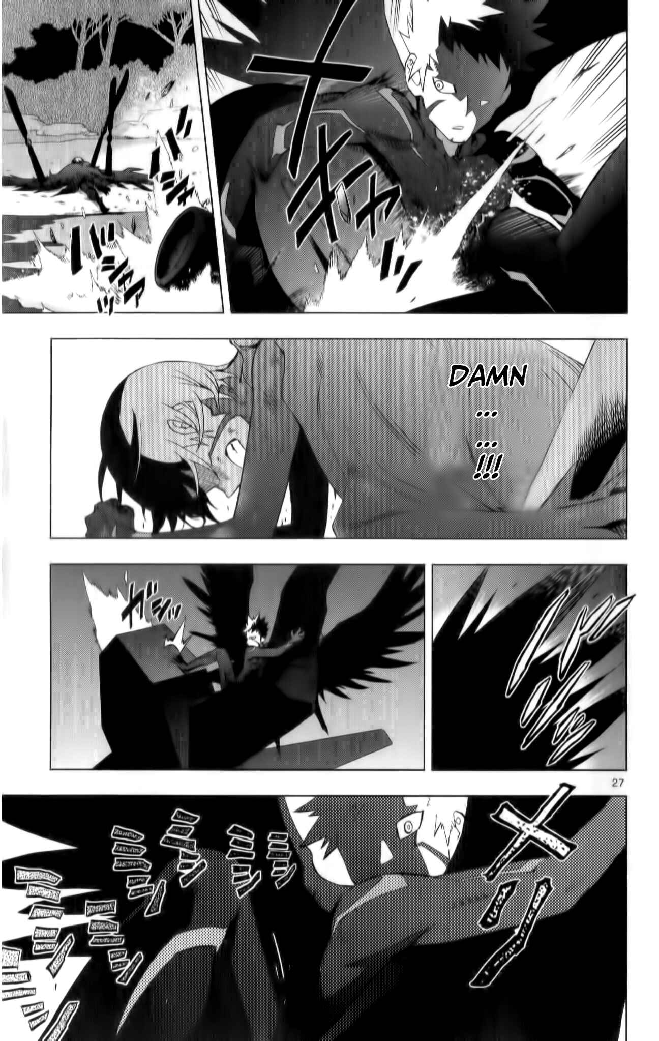 Page 28 Chapter 8 Birdmen