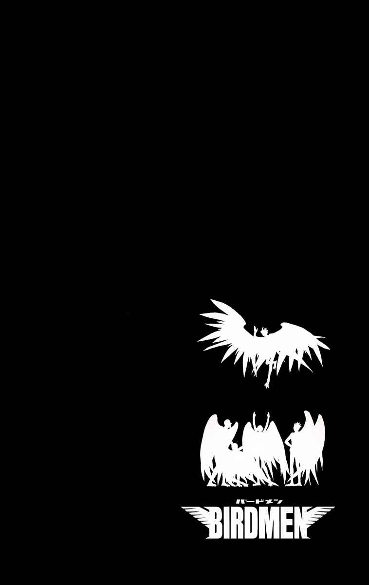 Page 38 Chapter 20 Birdmen