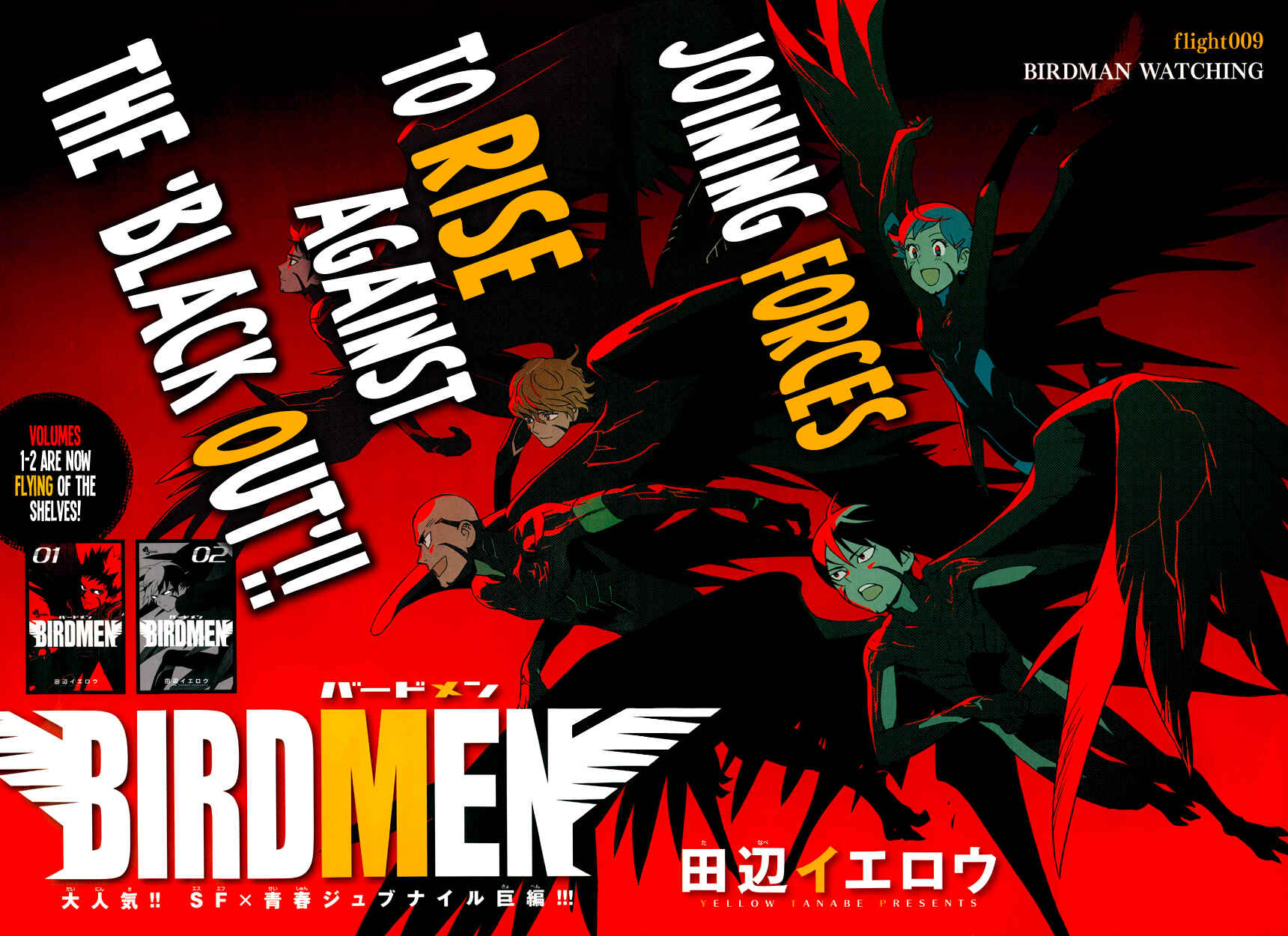 Page 4 Chapter 9 Birdmen