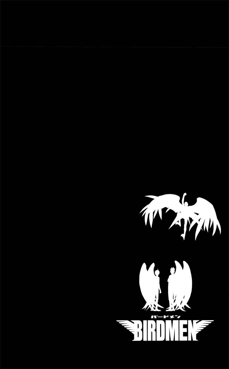 Page 39 Chapter 11 Birdmen