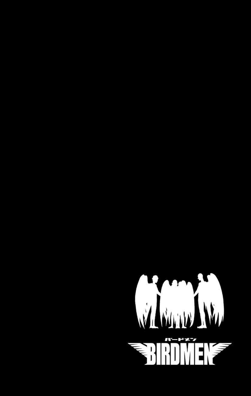 Page 41 Chapter 36 Birdmen