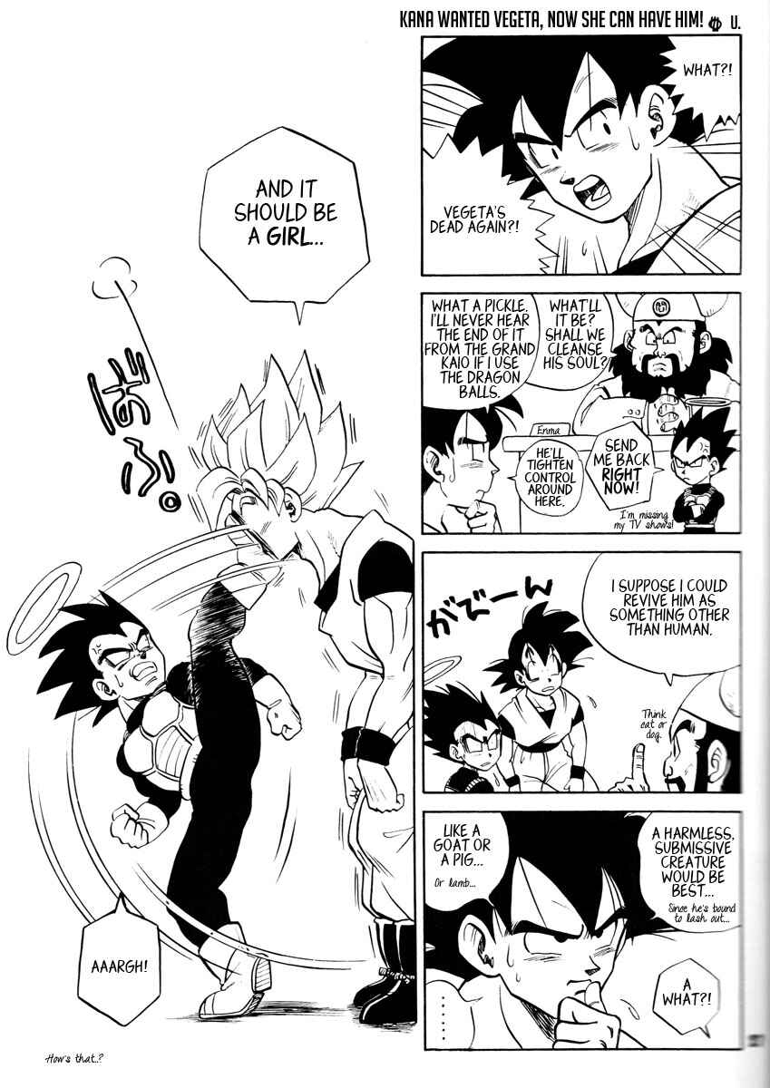 Page 27 Chapter Unknown_2337 Dragon Ball - Grand Bazaar (Doujinshi)