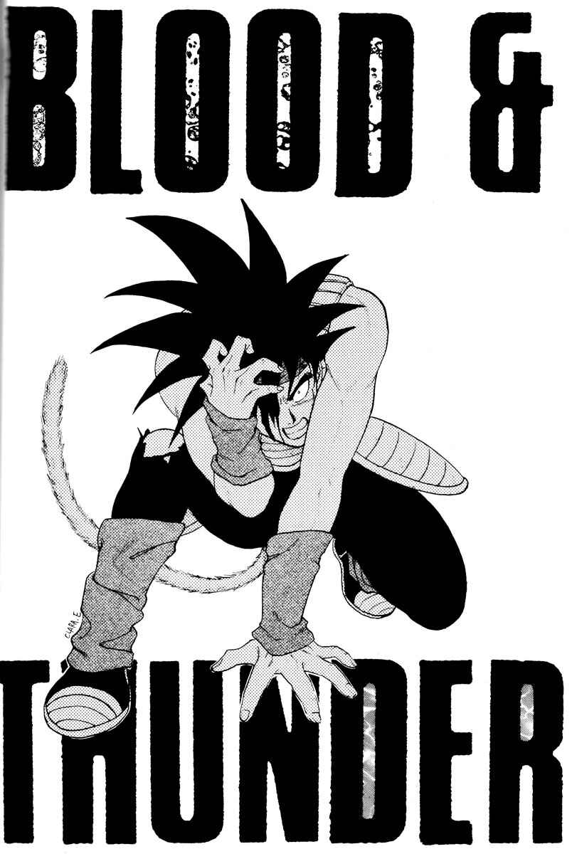 Page 28 Chapter Unknown_2337 Dragon Ball - Grand Bazaar (Doujinshi)