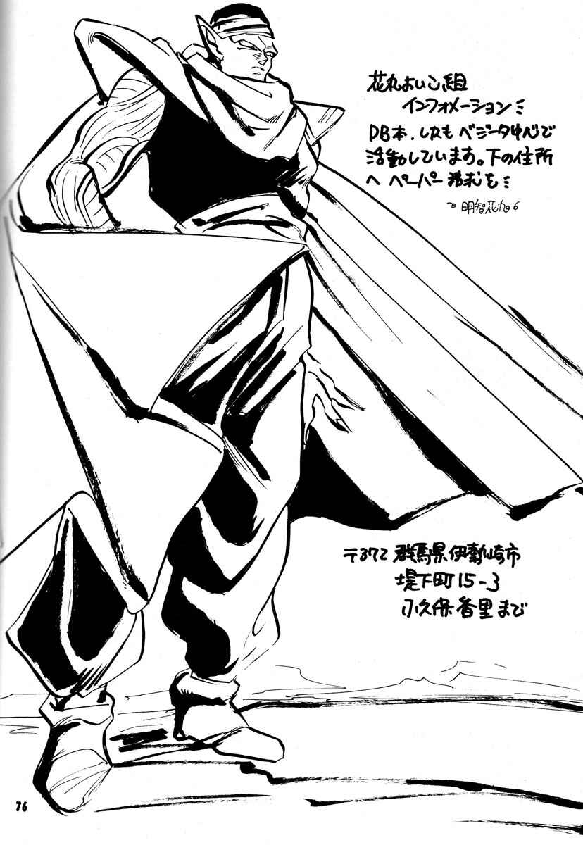 Page 76 Chapter Unknown_2337 Dragon Ball - Grand Bazaar (Doujinshi)