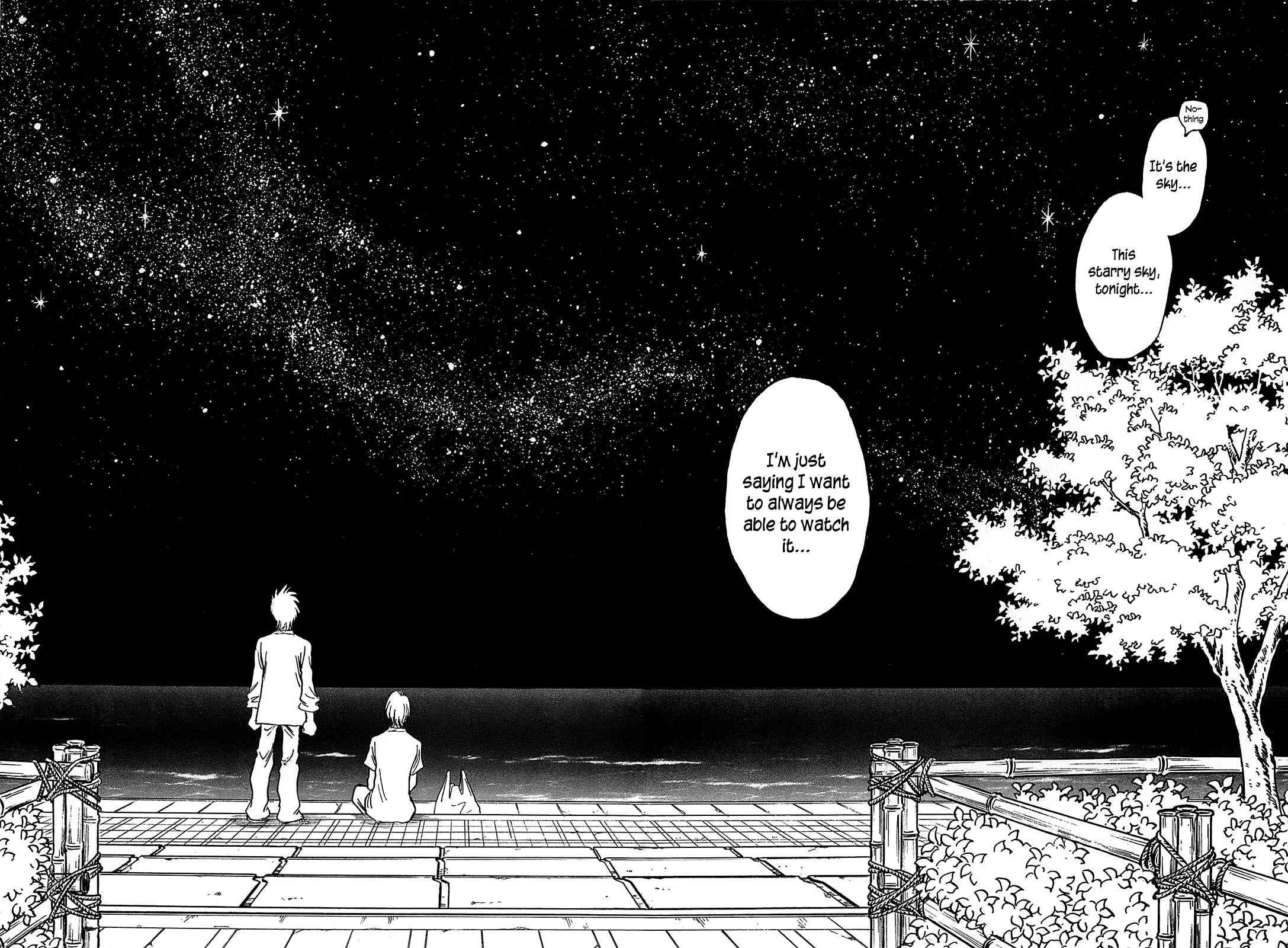 Page 20 Chapter 17 The Town the Stars Fall Upon