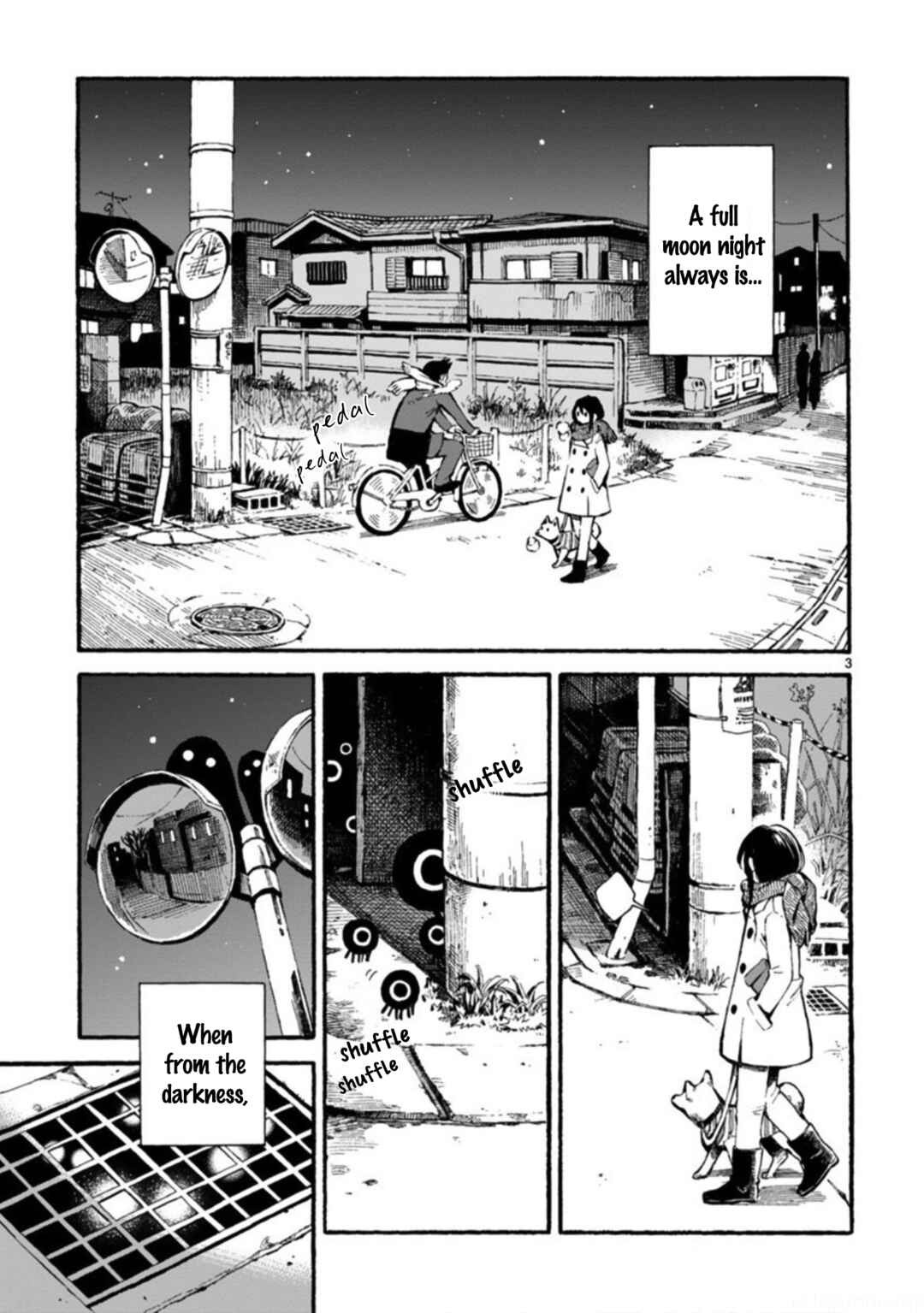Page 3 Chapter Unknown_418c Midnight Walk of Wonders