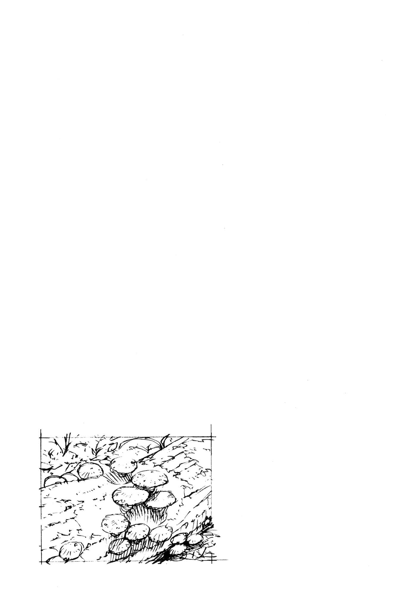 Page 11 Chapter 7 Survival: S Boys Records