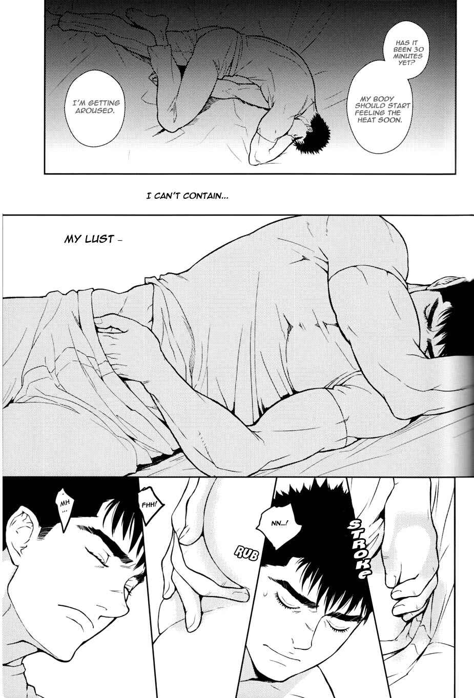 Page 30 Chapter Unknown_c3b5 Berserk - Heartache (Doujinshi)