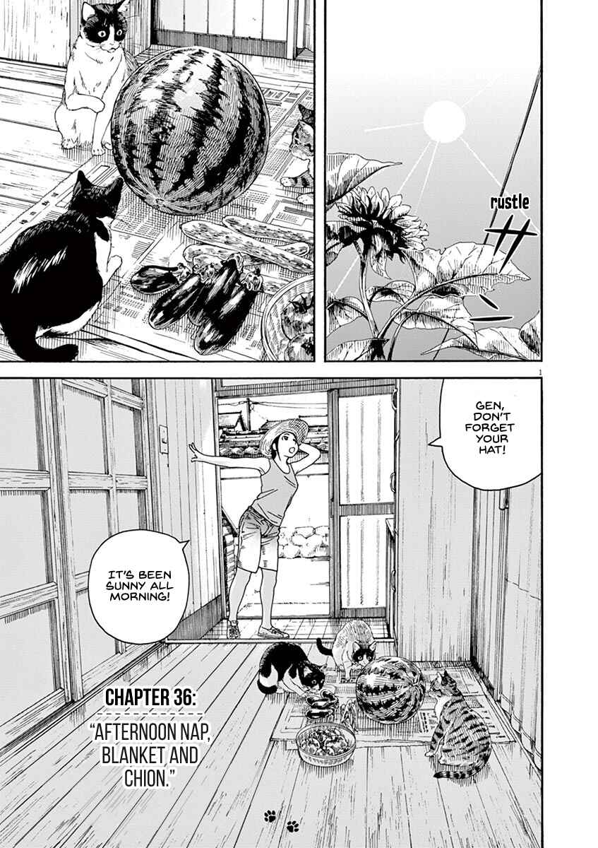 Page 5 Chapter 36 Neko no Otera no Chion-san