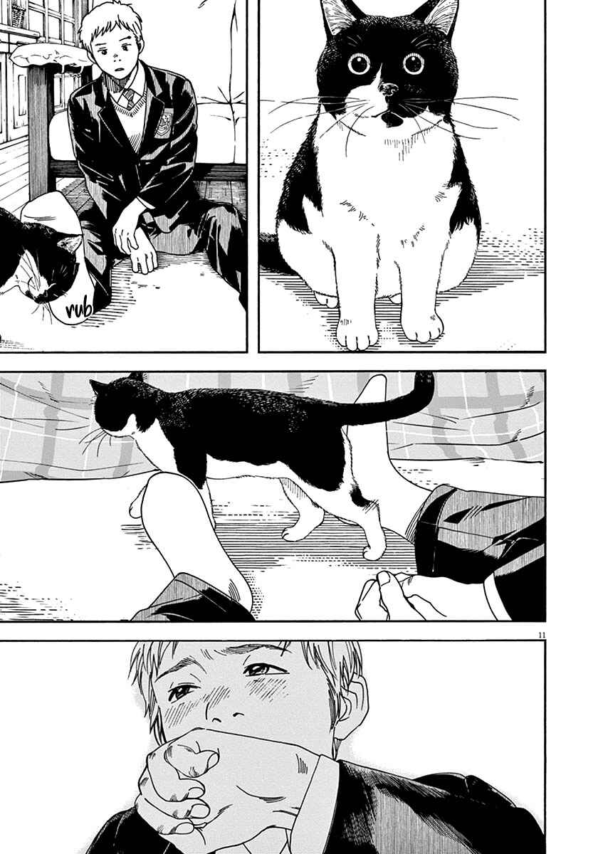 Page 11 Chapter 56 Neko no Otera no Chion-san