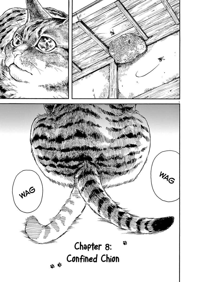Page 1 Chapter 8 Neko no Otera no Chion-san
