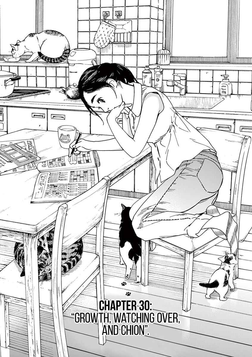 Page 1 Chapter 30 Neko no Otera no Chion-san