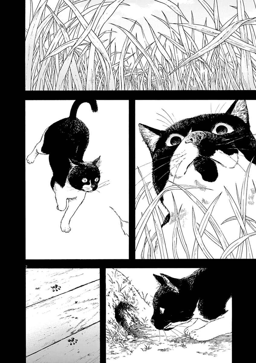 Page 2 Chapter 68 Neko no Otera no Chion-san